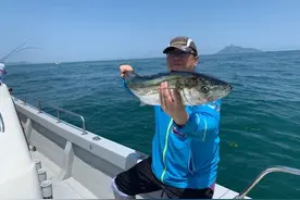 这么大的刀鱼！这么大的鲅鱼！青岛海钓圈这些天嗨了图片