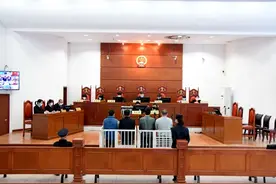开山种果树创业，为啥却因此锒铛入狱？图片
