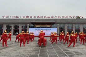 自在正定，自在海购！河北自贸区正定片区商品展销中心开业图片