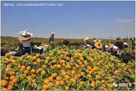前车之鉴——得罪中国人民的后果，有多严重图片