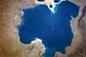 青海湖的“惩罚”：3年吃掉7.5万吨，湟鱼陷入危机？图片