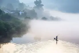 自驾带狗去哪里？图片