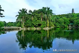 游南宁十景，不负绿城之约图片