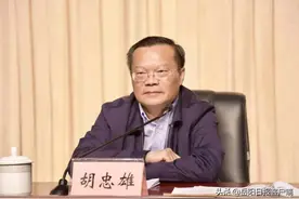 市长直接提拔为副省长，曾为全省最年轻的市委书记！胡忠雄这几篇文章火了图片