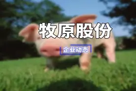 牧原股份是一家什么样的公司？图片