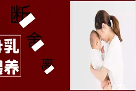 育儿案例分析——15个月母乳宝宝不好好吃辅食，要断奶吗？图片