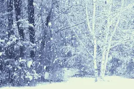 沈阳今日中到大雪！寒潮发威！别指望它能“冻死”新冠病毒，这些人群要格外注意图片