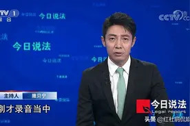 受过度娱乐化影响，主持人撒贝宁网综被停，时隔7年重回今日说法图片