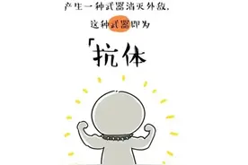 「健康科普」IgM和IgG结果如何解读？图片