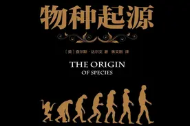 人类从哪里来？基因科学揭秘人类起源背后的真相图片