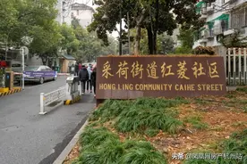 总价100万+起！原江干第一名校学区房3年未涨？还是胡一天母校图片