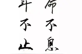 做你该做的事情，并接受它的事与愿违图片