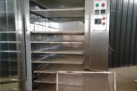 西部大旗电加热食品烘箱图片
