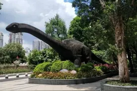 20元的门票就可以看到各种珍稀的动物，完胜几百元门票的动物园！图片