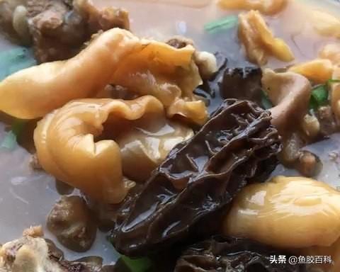 花胶粉怎么过吃法 2026年花胶的使用方法