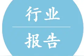 2021年中国金属硅行业分析报告-市场规模现状与未来趋势预测图片