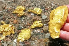 “狗头金”明明不是纯金，为什么比纯金贵？真的很值钱吗？图片