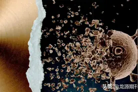 铜为什么能杀毒？图片