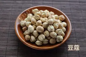 每天学习一味中药——豆蔻图片