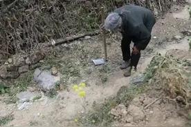 村里有个怪人老太太，所有人见了她都躲得远远的，她经历了什么图片