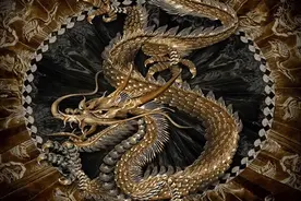 真龙是否存在？如果不存在，日本瑞龙寺的真龙标本又作何解释图片