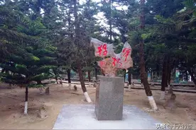行走——老山主峰上的将军林图片