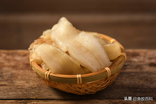 花胶的百科 2026年花胶百度百科