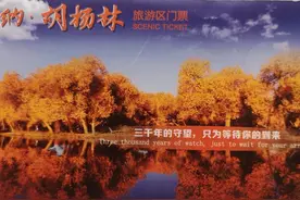 我的爱好—收藏旅游景点门票图片
