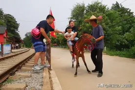 河南农民大哥养“小矮马”驮游客，人重马轻，看小马累成啥样图片