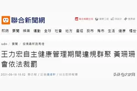 王力宏，依法处罚图片