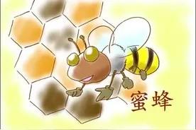 蜜蜂之死，谁之过？图片