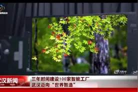 未来三年武汉将建成100家智能工厂图片