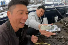 中国小伙的航海日记（七）：德国港口挖的生蚝，当地人会吃吗？图片