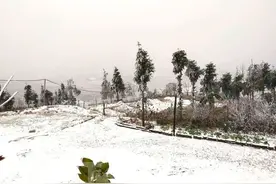 冷空气来袭，半世纪以来最冷的一年，连越南都下雪了图片