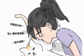 网友分享“吸猫”四大流派，不好意思，我是第五种：给我变派的图片