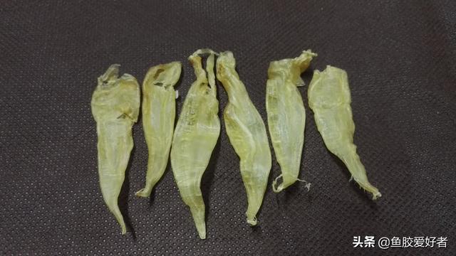鱼胶的价钱 2026年鱼胶多少钱