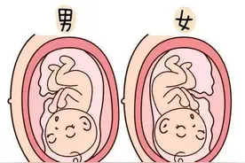 你听过“前壁生男、后壁生女”吗？专家：虽是迷信但位置很重要图片