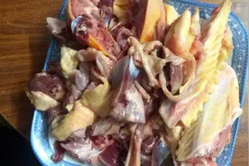 农村自己家养的鸭子图片