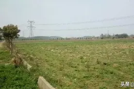 农村为何出现“田荒着，车放着，房空着”，原因究竟在哪里？图片