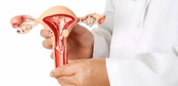 正常卵巢有几个卵泡 2026年正常卵巢几个卵泡算正常的
