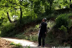 76岁农村大爷，在山沟里“空手套白狼”年入五万，他干的到底是啥图片