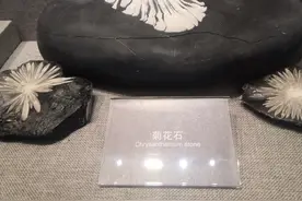 哪些石头不能捡回家？喜欢捡石的朋友，认识下面几种石头标本？图片