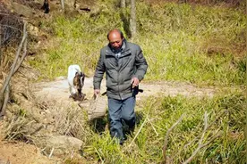 小伙隐居深山5年，建一万多米围栏养羊，看生活成什么样子图片
