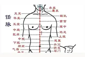 任脉—运行气血小周天图片