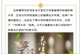 特产故事—乌什县的7村黑木耳图片