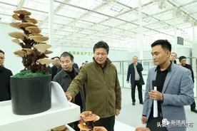区领导视察重大重点项目建设图片
