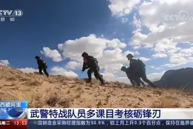 武警也来了！西藏特战队以实战为背景，演练高原狙杀和小分队破袭战图片
