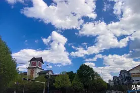 云南美，这是真的。随手一拍抬头一看，这天空美极了。图片