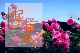 【起床号】2月26日，早安！歌曲《五月的鲜花》图片