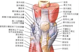 髌腱断裂的治疗方案图片